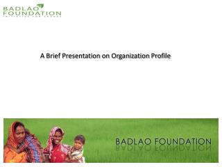 A Brief Presentation on Organization Profile