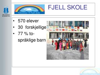 fjell skole
