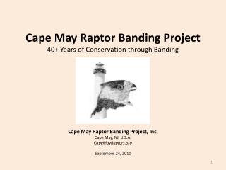 Cape May Raptor Banding Project 40+ Years of Conservation through Banding