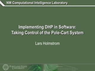 Implementing DHP in Software: Taking Control of the Pole-Cart System