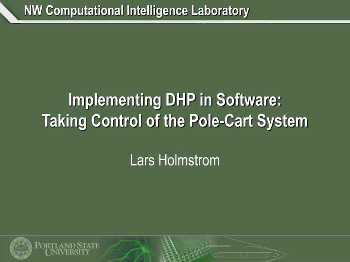 implementing dhp in software taking control of the pole cart system