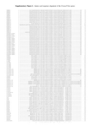 Supplementary Figure 1. Amino acid sequence alignment of the S locus F-box genes.