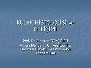 kulak h stoloj s ve gel m
