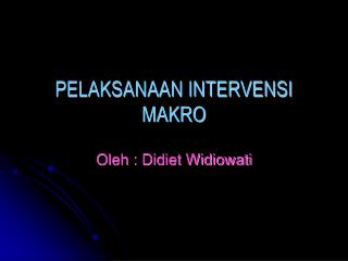 pelaksanaan intervensi makro
