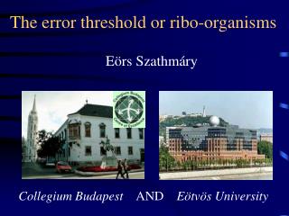 The error threshold or ribo-organisms