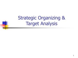 Strategic Organizing &amp; Target Analysis