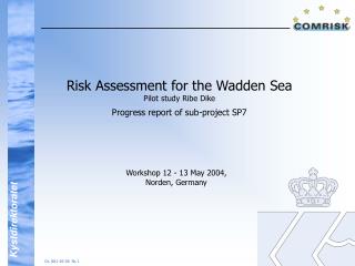 Risk Assessment for the Wadden Sea Pilot study Ribe Dike Progress report of sub-project SP7