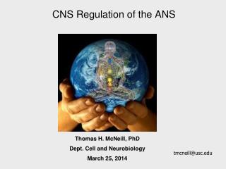 CNS Regulation of the ANS