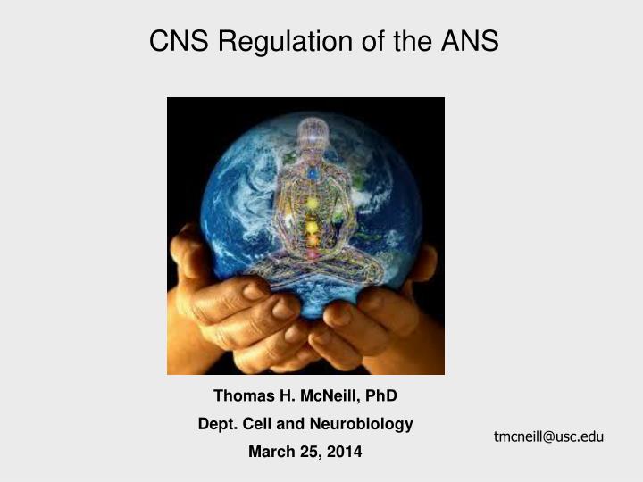 cns regulation of the ans