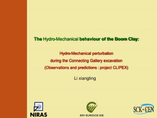 The Hydro-Mechanical behaviour of the Boom Clay: Hydro-Mechanical perturbation