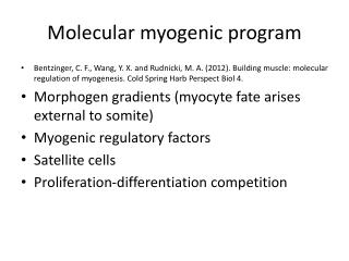 Molecular myogenic program