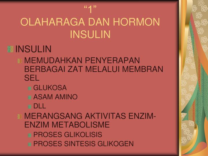 1 olaharaga dan hormon insulin