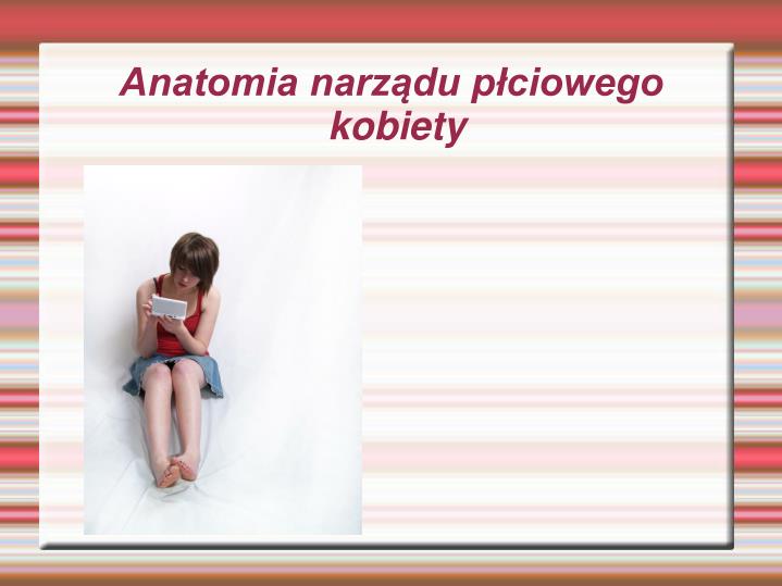 anatomia narz du p ciowego kobiety