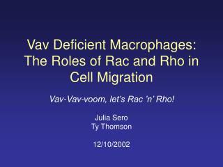 Vav Deficient Macrophages: The Roles of Rac and Rho in Cell Migration