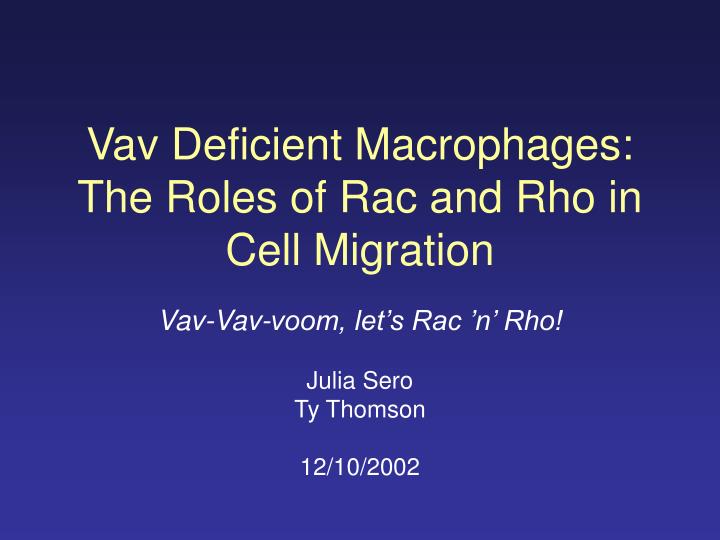 vav deficient macrophages the roles of rac and rho in cell migration