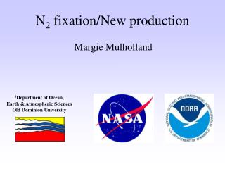 N 2 fixation/New production