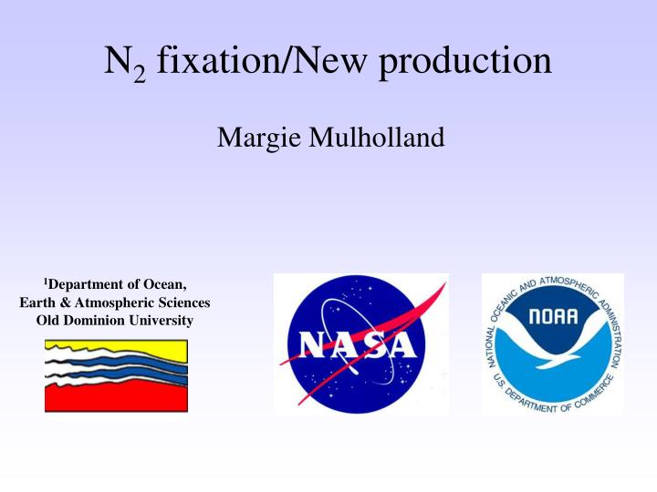 n 2 fixation new production