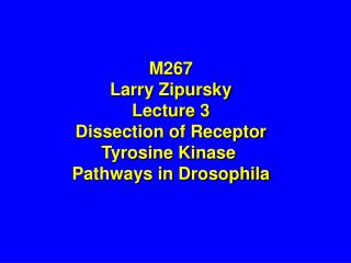 M267 Larry Zipursky Lecture 3 Dissection of Receptor Tyrosine Kinase Pathways in Drosophila