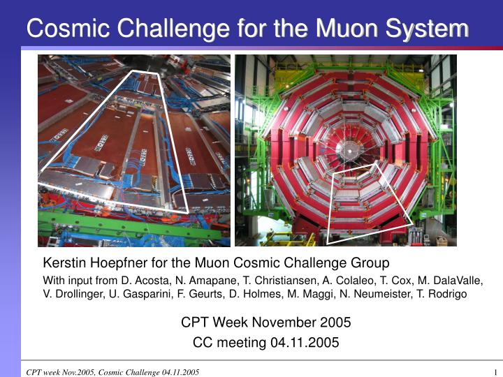 cosmic challenge for the muon system