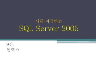 sql server 2005