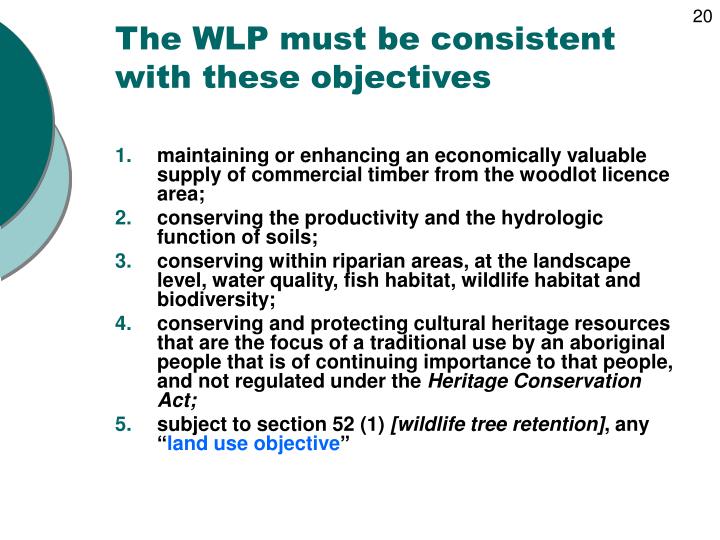 the wlp must be consistent with these objectives