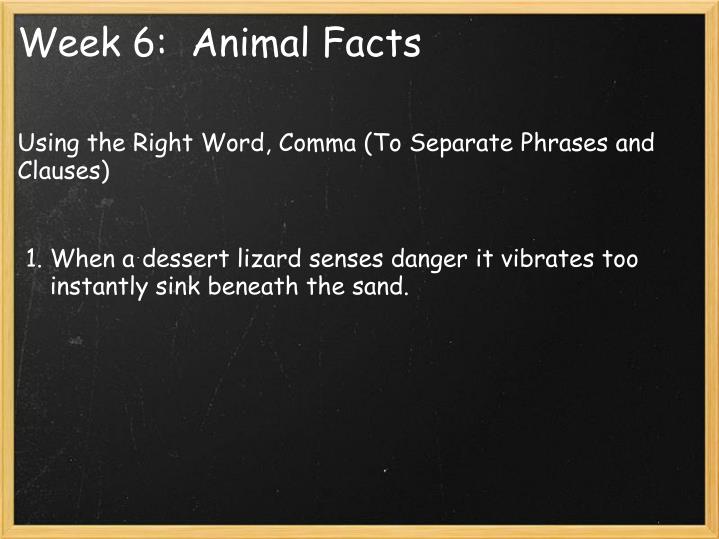 week 6 animal facts