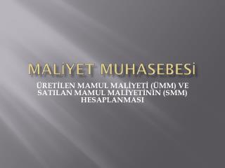 mal yet muhasebes
