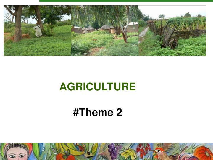 agriculture theme 2