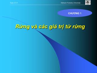 r ng v c c gi tr t r ng