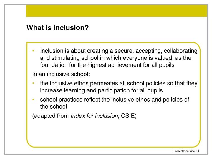 what is inclusion