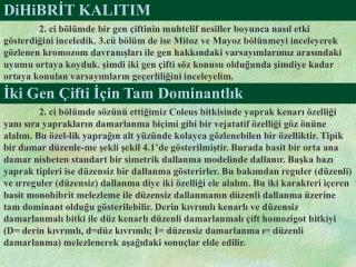 dihibr t kalitim