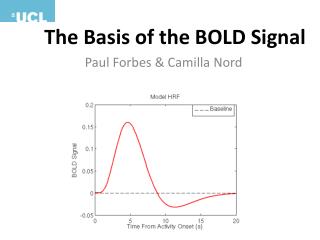The Basis of the BOLD Signal
