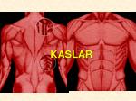 KASLAR - slide 1