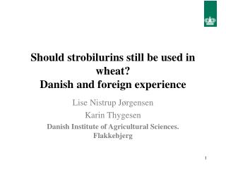 Should strobilurins still be used in wheat? Danish and foreign experience