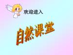 自然课堂 - slide 1