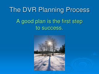 The DVR Planning Process