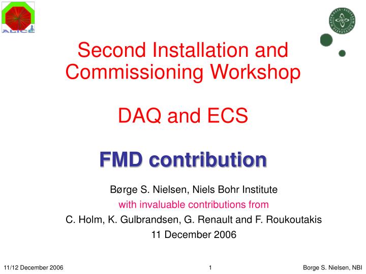 second installation and commissioning workshop daq and ecs fmd contribution