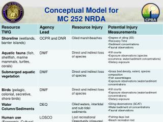 Conceptual Model for MC 252 NRDA