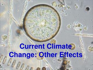Current Climate Change: Other Effects
