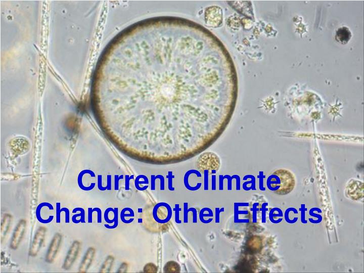 current climate change other effects