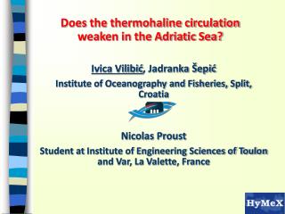 Does the thermohaline circulation weaken in the Adriatic Sea?