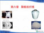 第六章 聚酰胺纤维 - slide 1