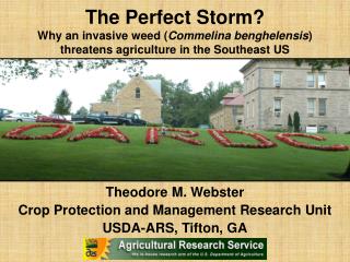 Theodore M. Webster Crop Protection and Management Research Unit USDA-ARS, Tifton, GA