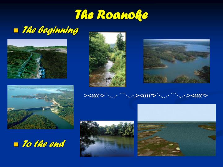 the roanoke