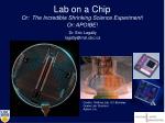 Lab on a Chip - slide 1