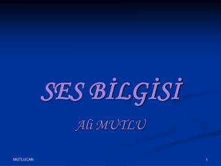 ses b lg s
