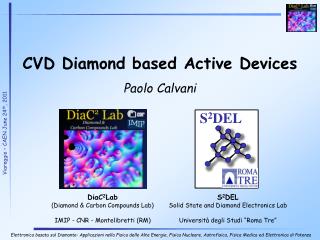 S 2 DEL Solid State and Diamond Electronics Lab Università degli Studi “Roma Tre”