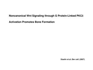 Noncanonical Wnt Signaling through G Protein-Linked PKC d Activation Promotes Bone Formation