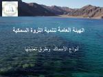 الهيئة العامة لتنمية الثروة السمكية - slide 1