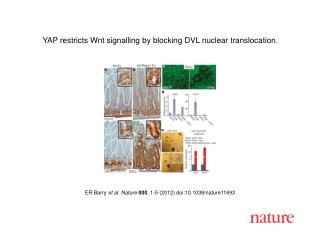 ER Barry et al. Nature 000 , 1-5 (2012) doi:10.1038/nature 11693